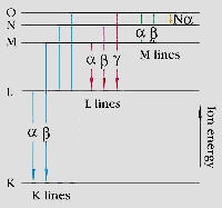 spect4.jpg (15910 bytes)